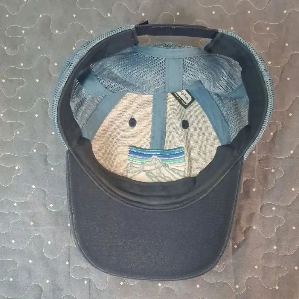 Patagonia Navy and Light Blue Cap